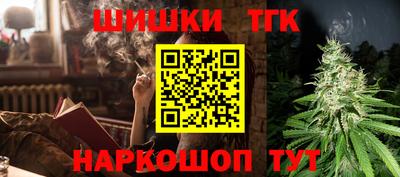 стаф Владимир