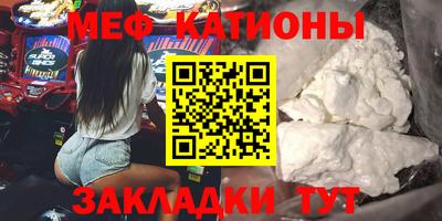 стаф Владимир