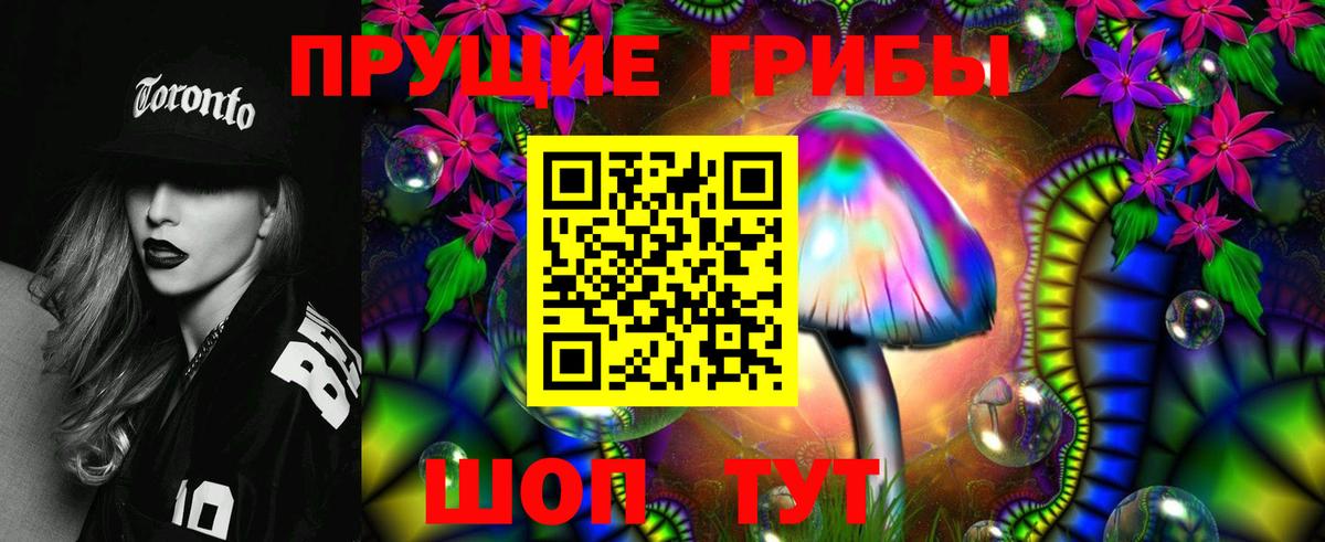 Псилоцибиновые грибы Psilocybine cubensis Томск