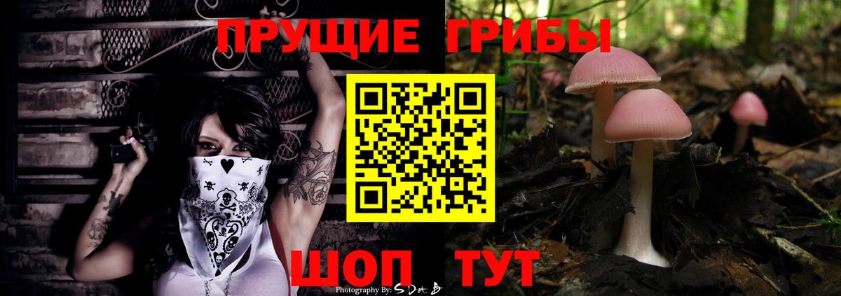 Галлюциногенные грибы мухоморы  Псилоцибиновые грибы GOLDEN TEACHER  Томск  Вход с VPN 